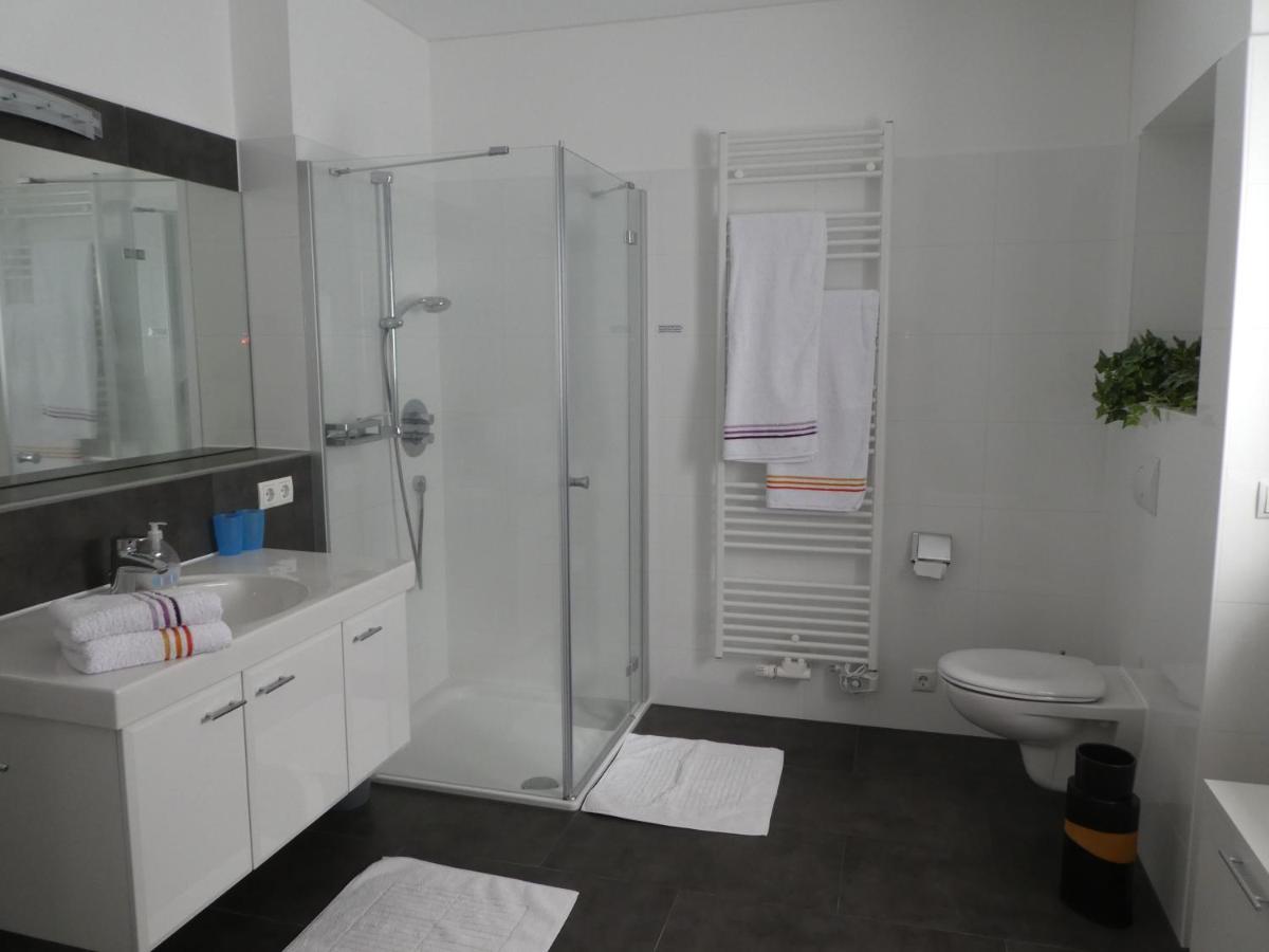 Grosszuegige,Zetrumsnahe Wohnung Dresden Ngoại thất bức ảnh