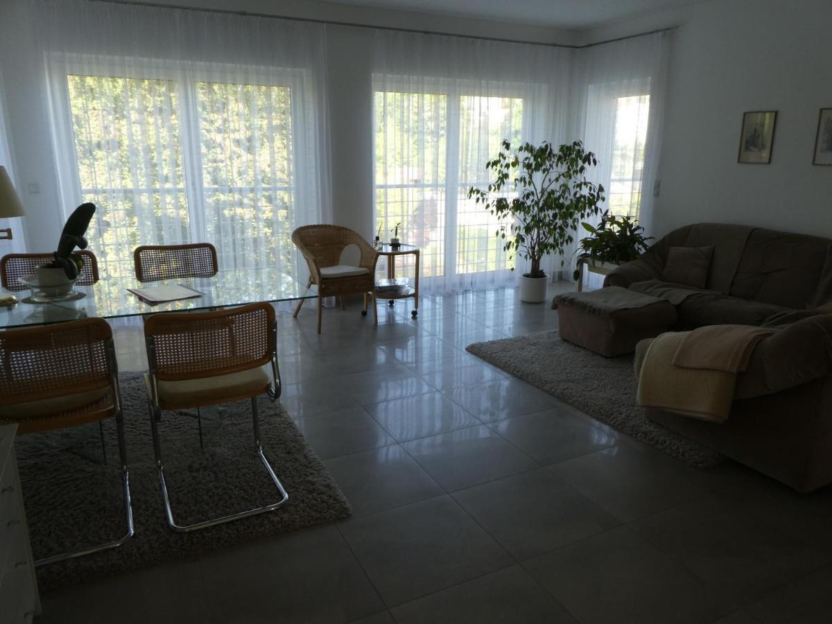 Grosszuegige,Zetrumsnahe Wohnung Dresden Ngoại thất bức ảnh